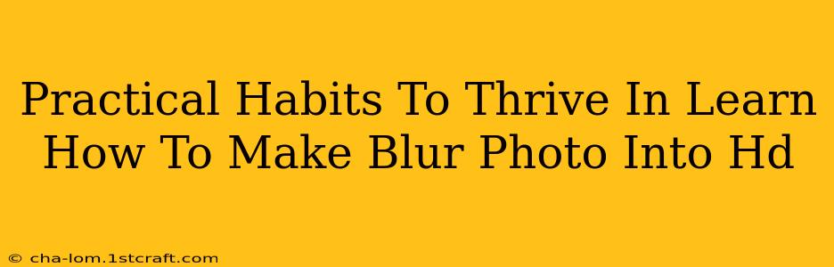 Practical Habits To Thrive In Learn How To Make Blur Photo Into Hd