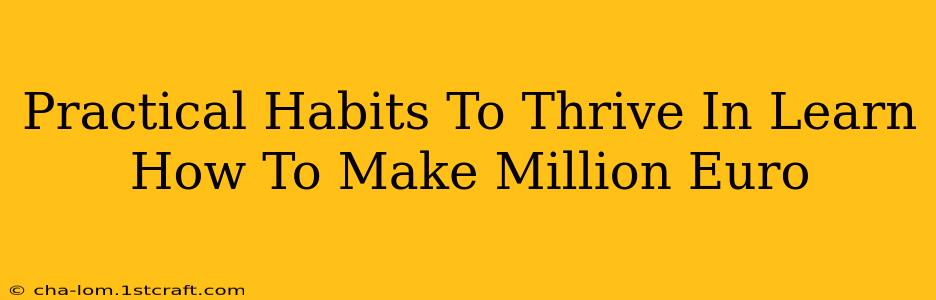 Practical Habits To Thrive In Learn How To Make Million Euro