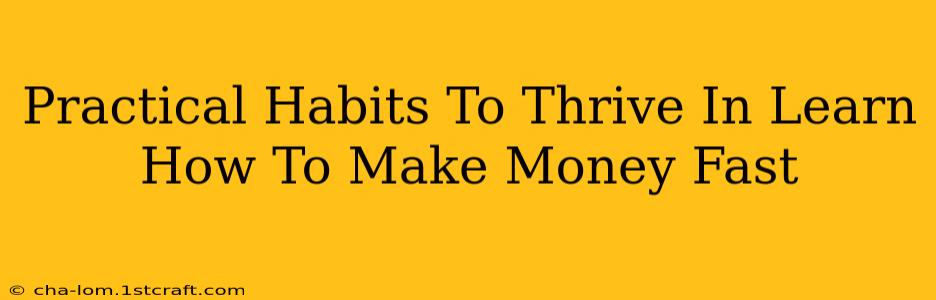 Practical Habits To Thrive In Learn How To Make Money Fast