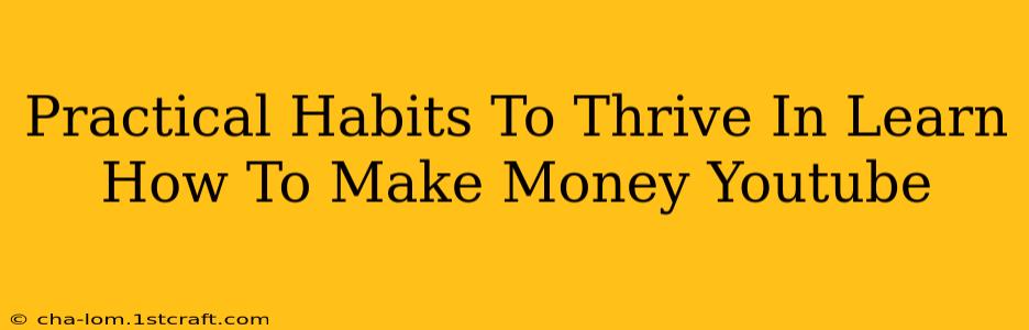 Practical Habits To Thrive In Learn How To Make Money Youtube