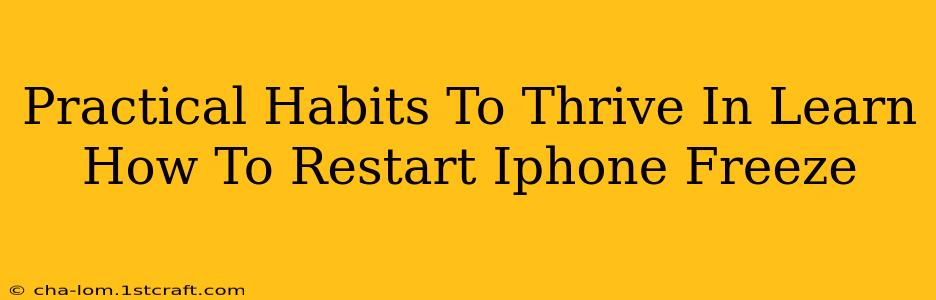 Practical Habits To Thrive In Learn How To Restart Iphone Freeze