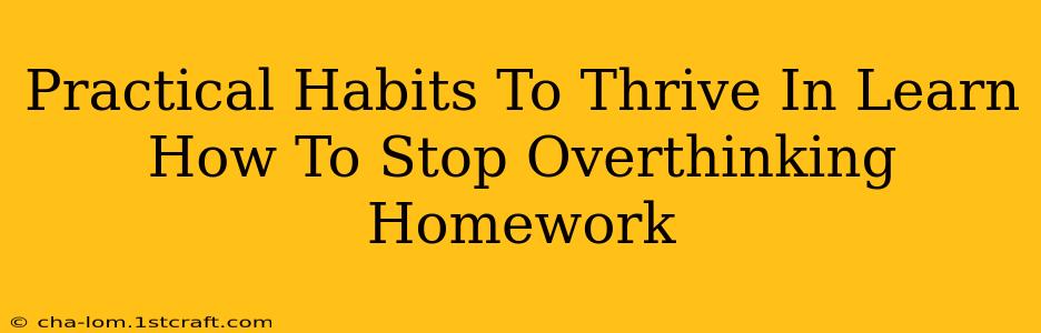 Practical Habits To Thrive In Learn How To Stop Overthinking Homework