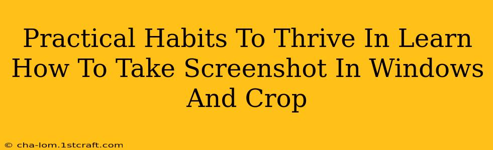 Practical Habits To Thrive In Learn How To Take Screenshot In Windows And Crop