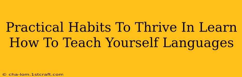 Practical Habits To Thrive In Learn How To Teach Yourself Languages