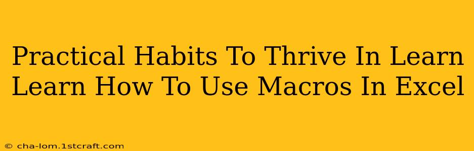 Practical Habits To Thrive In Learn Learn How To Use Macros In Excel