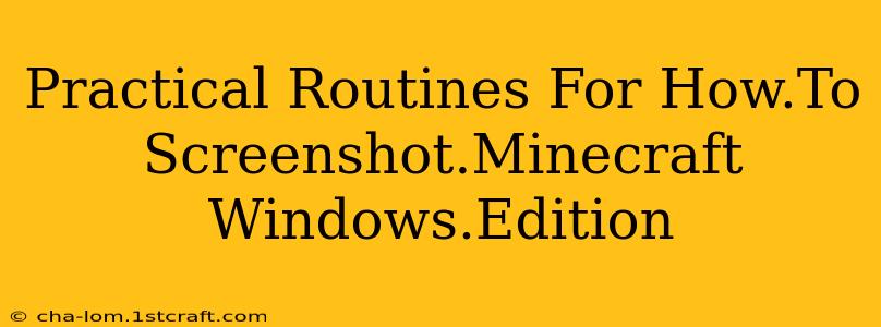 Practical Routines For How.To Screenshot.Minecraft Windows.Edition