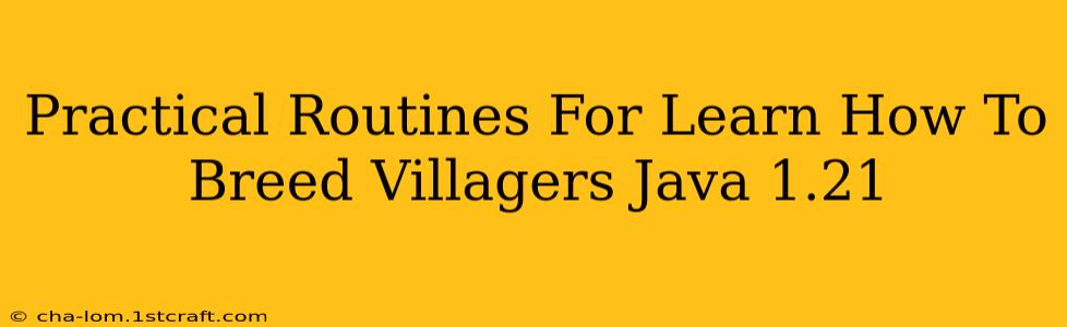 Practical Routines For Learn How To Breed Villagers Java 1.21