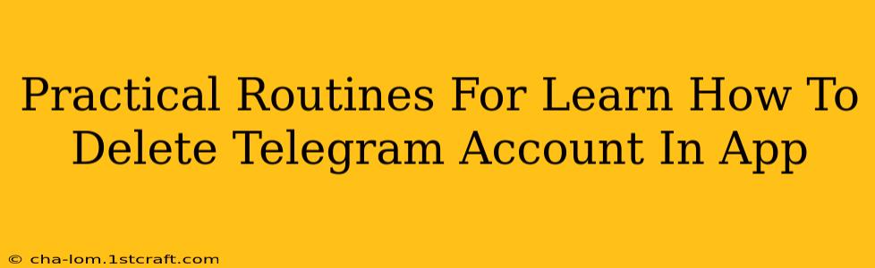 Practical Routines For Learn How To Delete Telegram Account In App