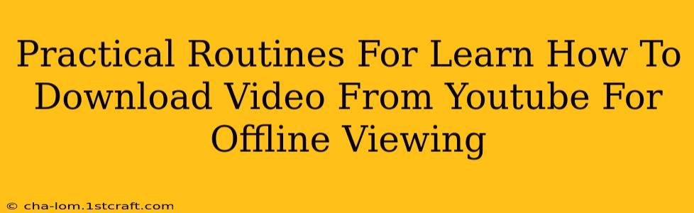 Practical Routines For Learn How To Download Video From Youtube For Offline Viewing