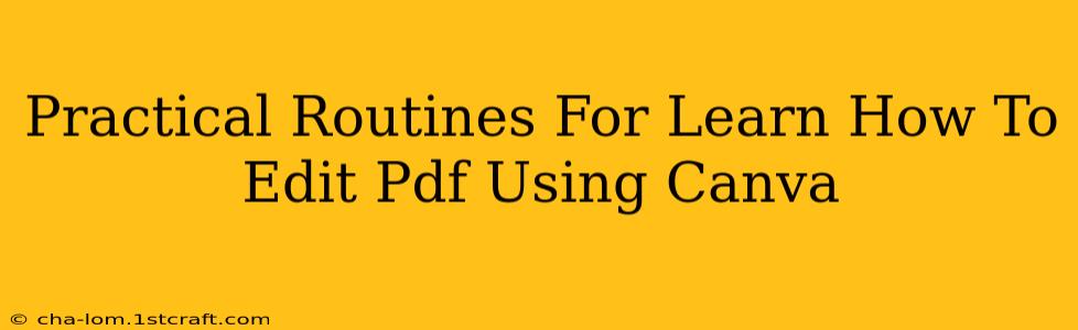 Practical Routines For Learn How To Edit Pdf Using Canva