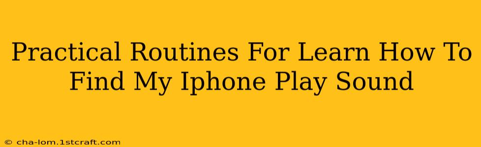 Practical Routines For Learn How To Find My Iphone Play Sound