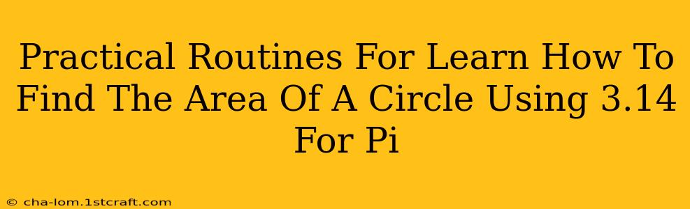 Practical Routines For Learn How To Find The Area Of A Circle Using 3.14 For Pi