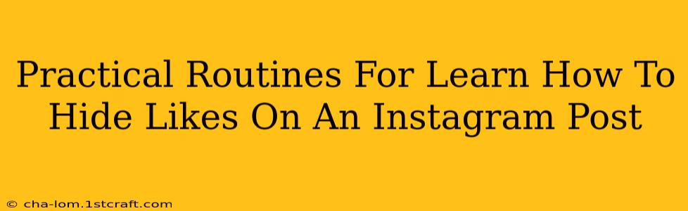 Practical Routines For Learn How To Hide Likes On An Instagram Post