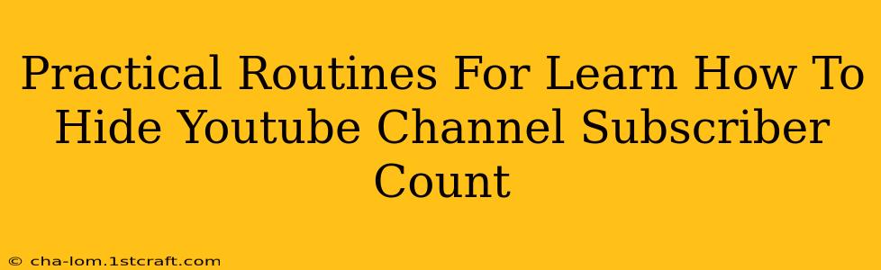 Practical Routines For Learn How To Hide Youtube Channel Subscriber Count