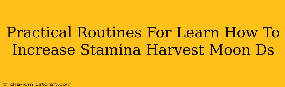 Practical Routines For Learn How To Increase Stamina Harvest Moon Ds