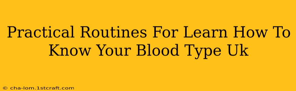 Practical Routines For Learn How To Know Your Blood Type Uk