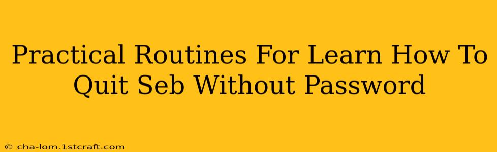 Practical Routines For Learn How To Quit Seb Without Password