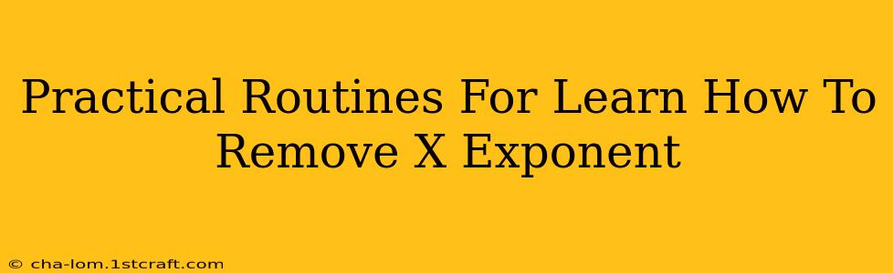 Practical Routines For Learn How To Remove X Exponent