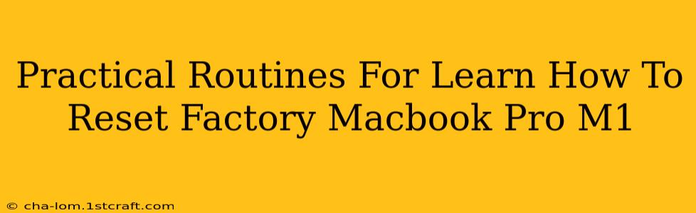 Practical Routines For Learn How To Reset Factory Macbook Pro M1