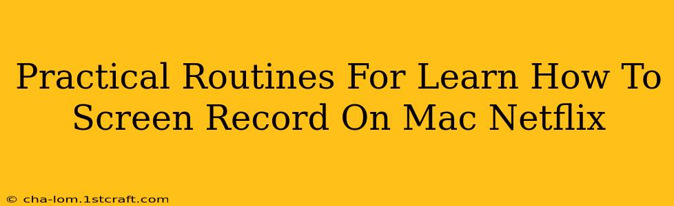 Practical Routines For Learn How To Screen Record On Mac Netflix