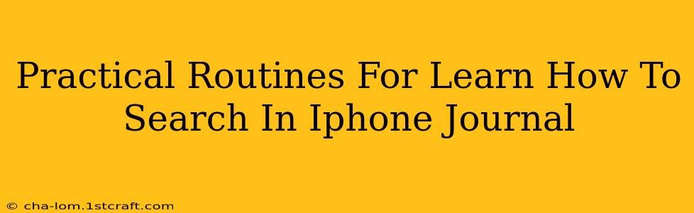 Practical Routines For Learn How To Search In Iphone Journal