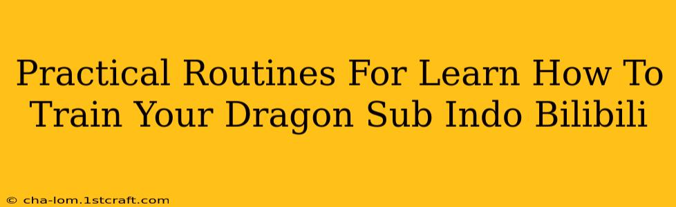 Practical Routines For Learn How To Train Your Dragon Sub Indo Bilibili