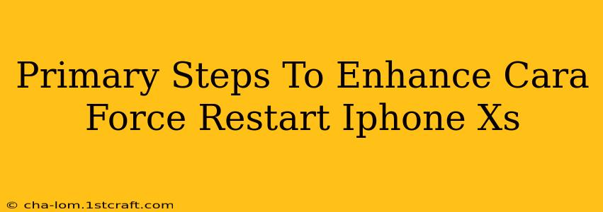 Primary Steps To Enhance Cara Force Restart Iphone Xs