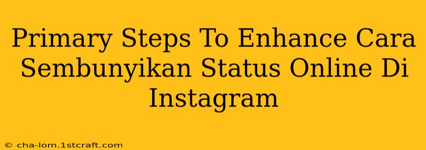 Primary Steps To Enhance Cara Sembunyikan Status Online Di Instagram