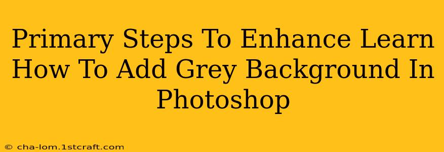 Primary Steps To Enhance Learn How To Add Grey Background In Photoshop