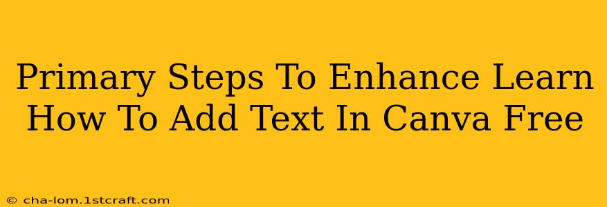 Primary Steps To Enhance Learn How To Add Text In Canva Free