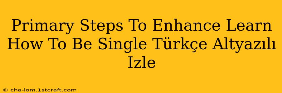 Primary Steps To Enhance Learn How To Be Single Türkçe Altyazılı Izle