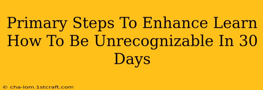 Primary Steps To Enhance Learn How To Be Unrecognizable In 30 Days