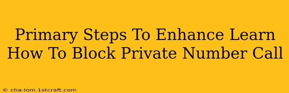 Primary Steps To Enhance Learn How To Block Private Number Call