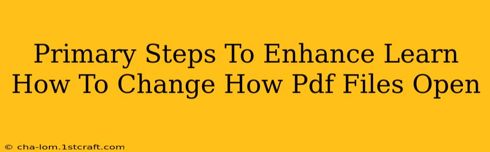 Primary Steps To Enhance Learn How To Change How Pdf Files Open