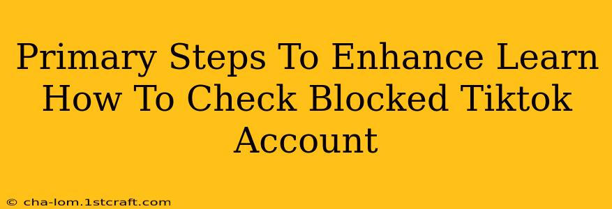 Primary Steps To Enhance Learn How To Check Blocked Tiktok Account