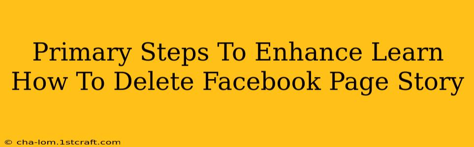 Primary Steps To Enhance Learn How To Delete Facebook Page Story