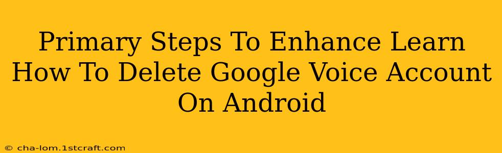 Primary Steps To Enhance Learn How To Delete Google Voice Account On Android