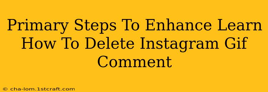 Primary Steps To Enhance Learn How To Delete Instagram Gif Comment