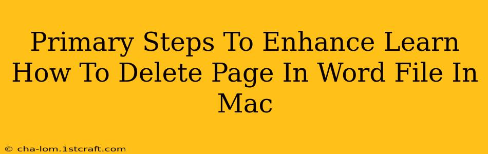 Primary Steps To Enhance Learn How To Delete Page In Word File In Mac