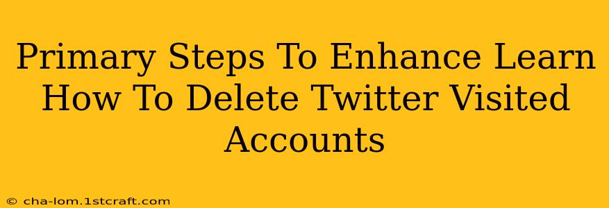 Primary Steps To Enhance Learn How To Delete Twitter Visited Accounts