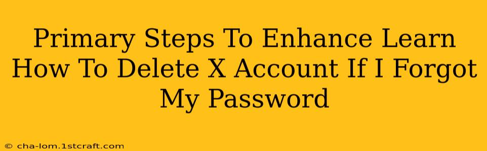 Primary Steps To Enhance Learn How To Delete X Account If I Forgot My Password