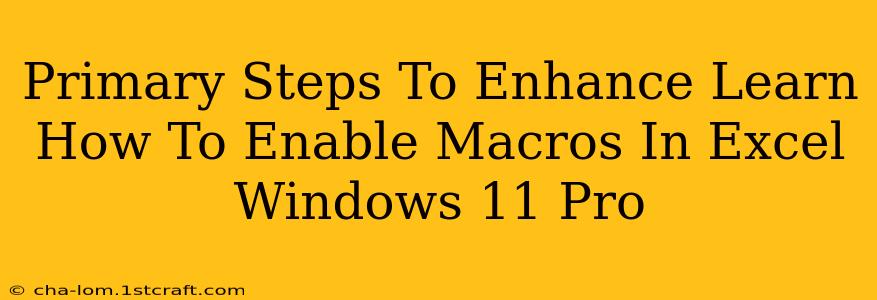 Primary Steps To Enhance Learn How To Enable Macros In Excel Windows 11 Pro