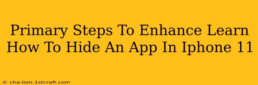 Primary Steps To Enhance Learn How To Hide An App In Iphone 11