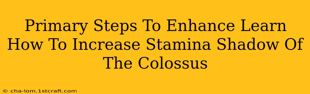 Primary Steps To Enhance Learn How To Increase Stamina Shadow Of The Colossus