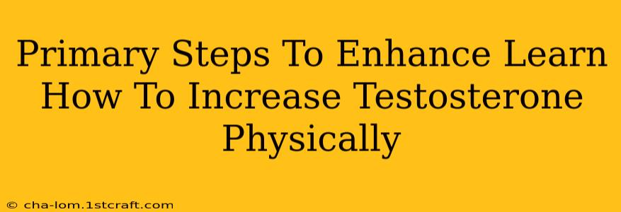 Primary Steps To Enhance Learn How To Increase Testosterone Physically