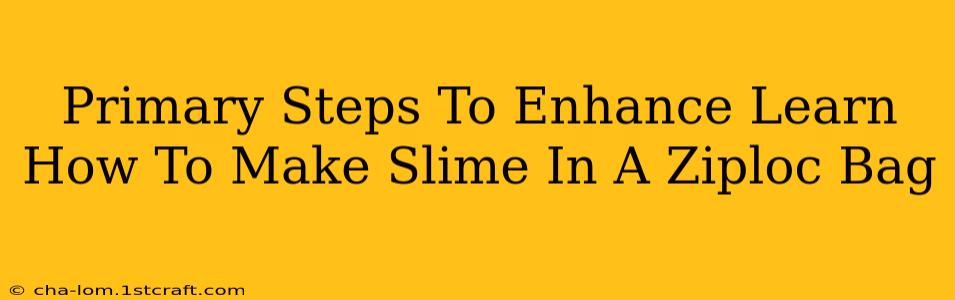 Primary Steps To Enhance Learn How To Make Slime In A Ziploc Bag