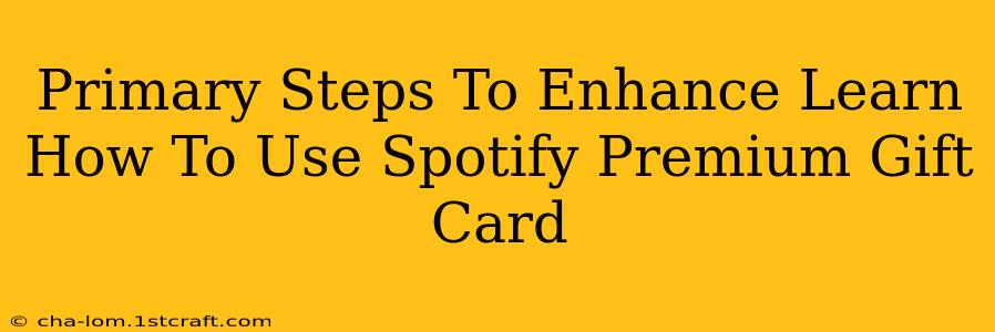 Primary Steps To Enhance Learn How To Use Spotify Premium Gift Card