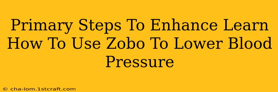 Primary Steps To Enhance Learn How To Use Zobo To Lower Blood Pressure