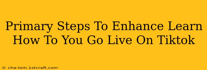 Primary Steps To Enhance Learn How To You Go Live On Tiktok