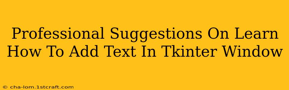 Professional Suggestions On Learn How To Add Text In Tkinter Window